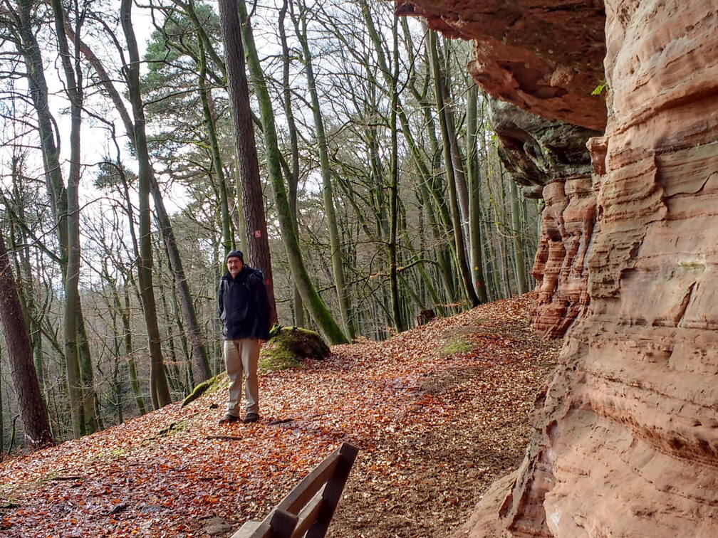 IMG 20190118 131132558 HDR